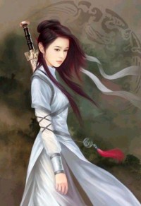 將軍大人,請留步!